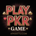 PLAY PKR Game